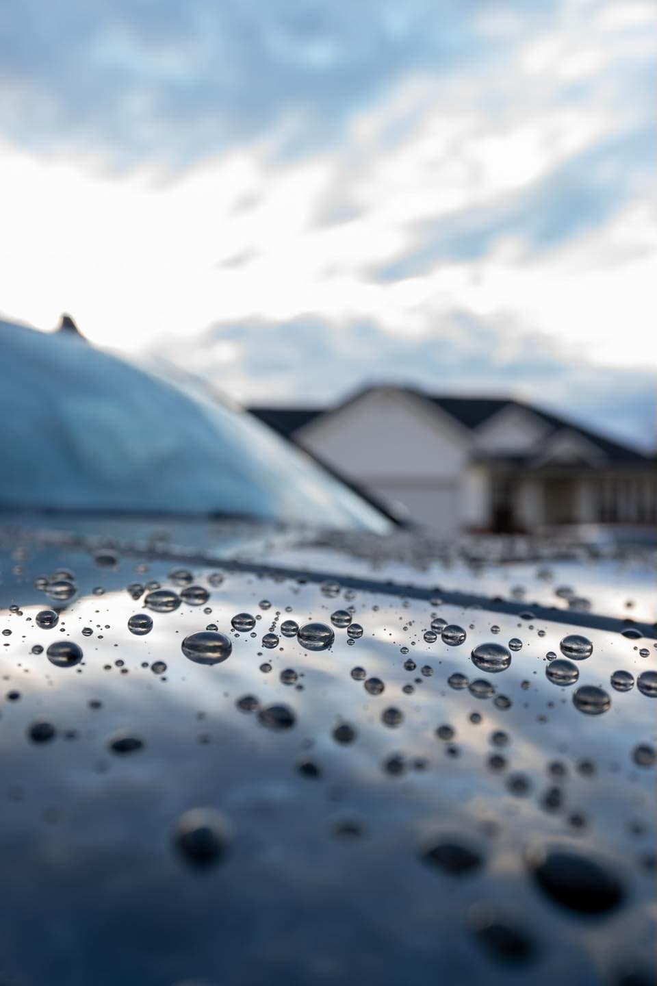 Water beading on a freshly detailed car hood in a residential driveway
